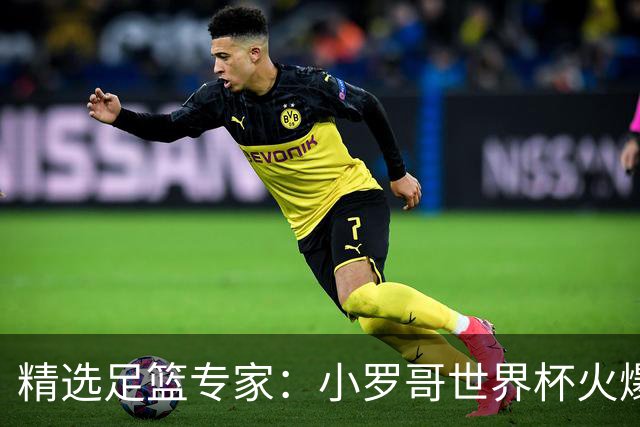 精选足篮专家：小罗哥世界杯火爆9连红长线15中13！